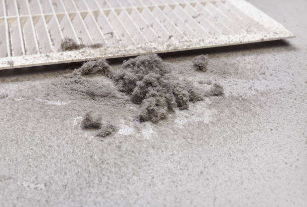 Best Duct Cleaning for Homes  in Bear Creek, AK