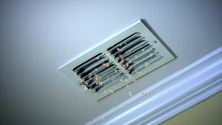  Bear Creek, AK Airduct Cleaning Pros