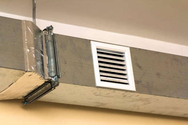 Best Air Duct Sanitizing Services  in Bear Creek, AK